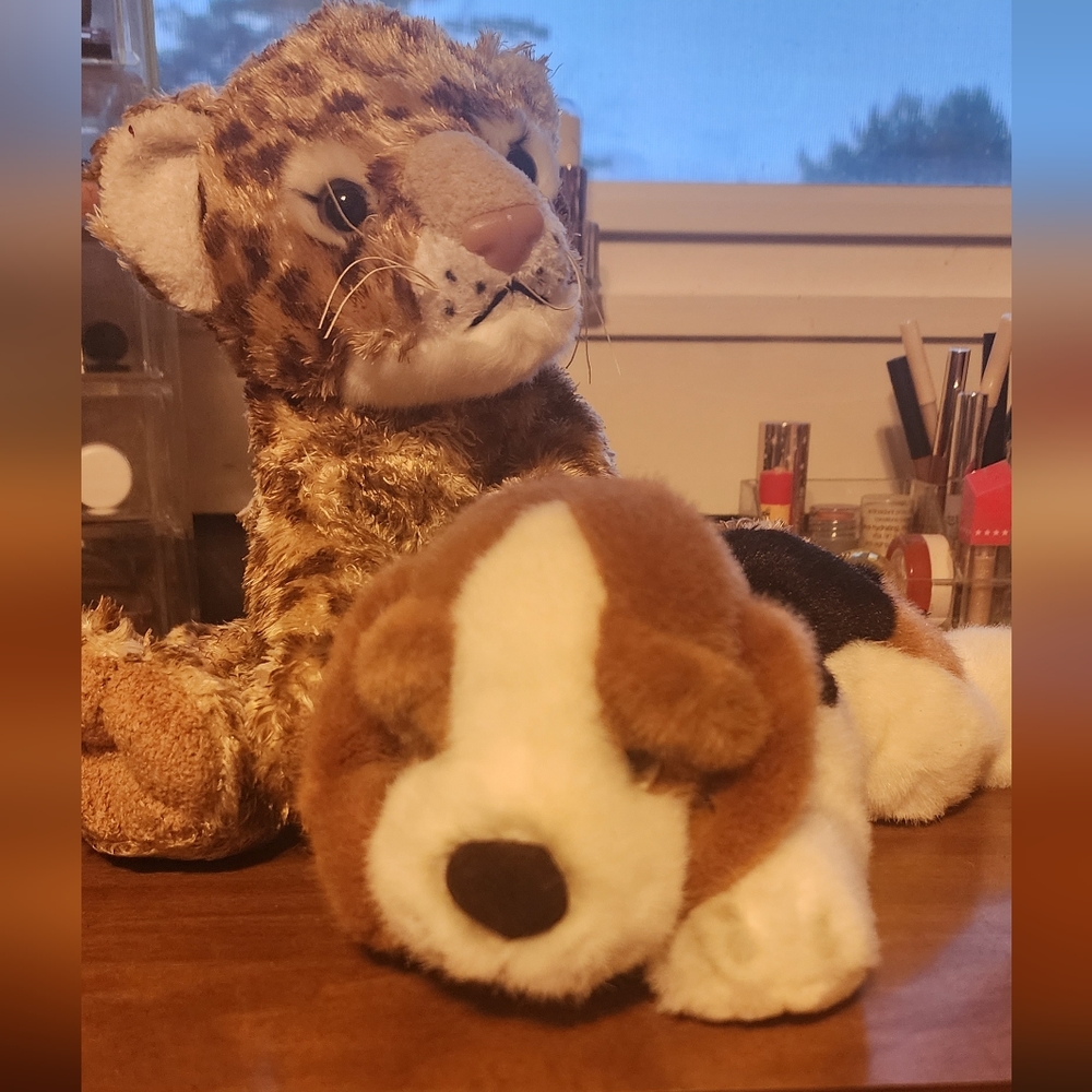 Pair of stuffed animals